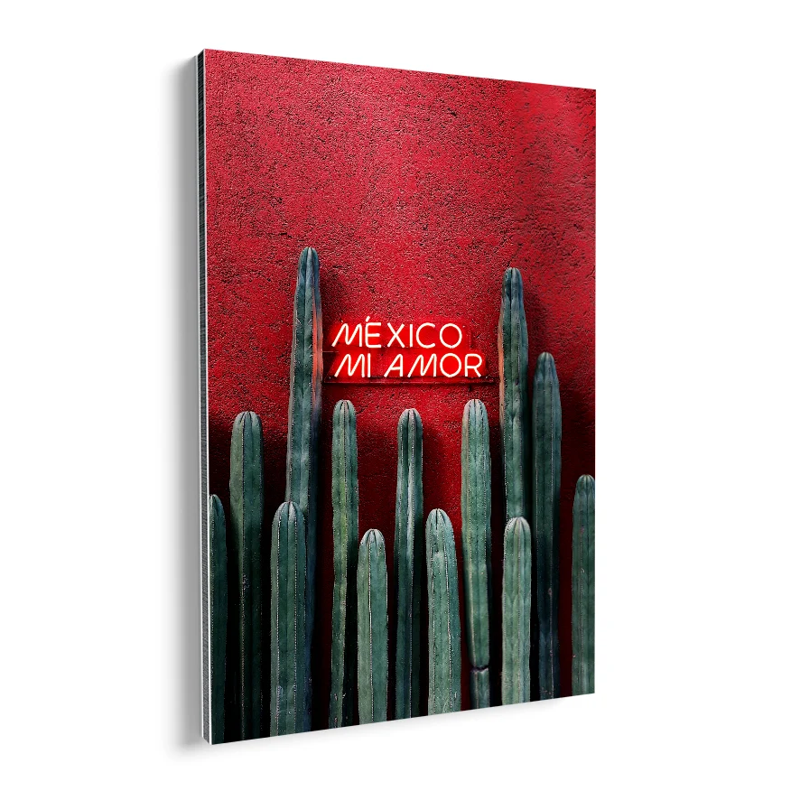 Cactus Ordenador Poster