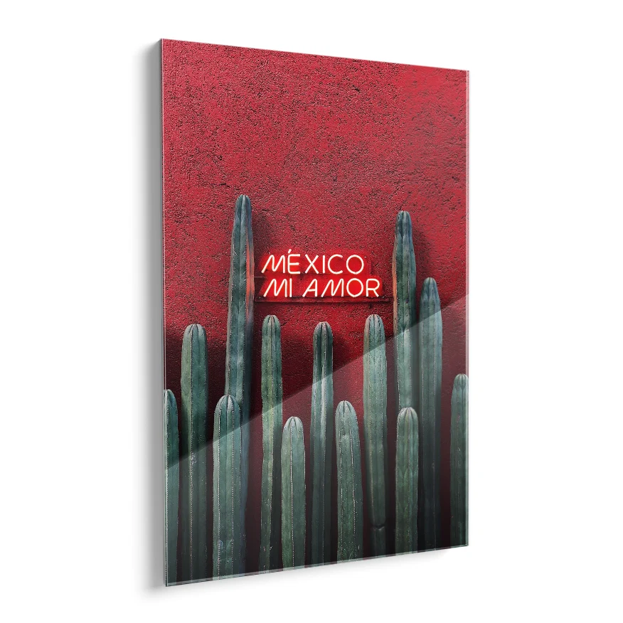 Cactus Ordenador Poster