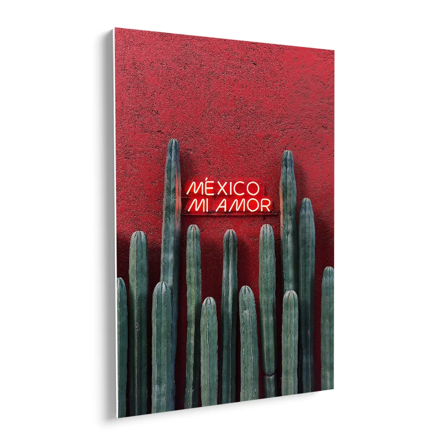 Cactus Ordenador Poster