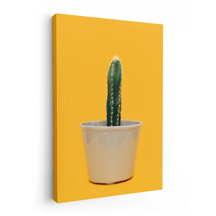 Cactus Poster