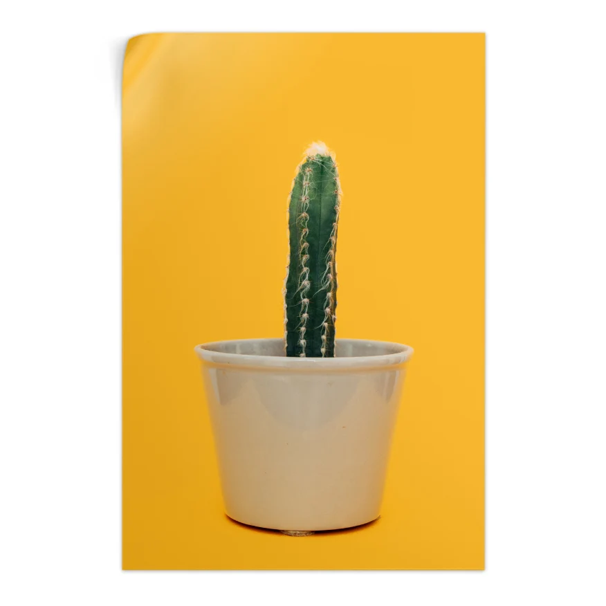 Cactus Poster