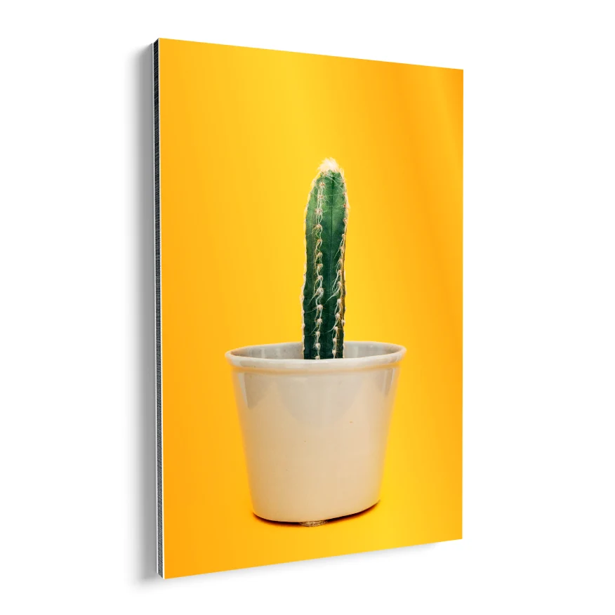 Cactus Poster