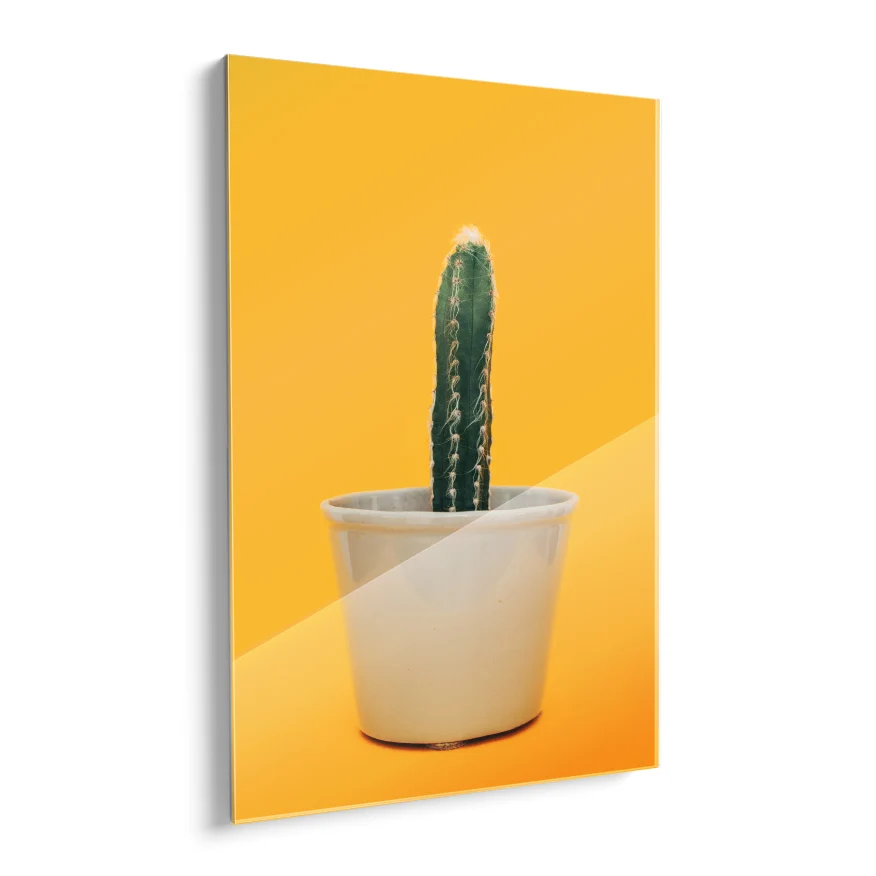Cactus Poster