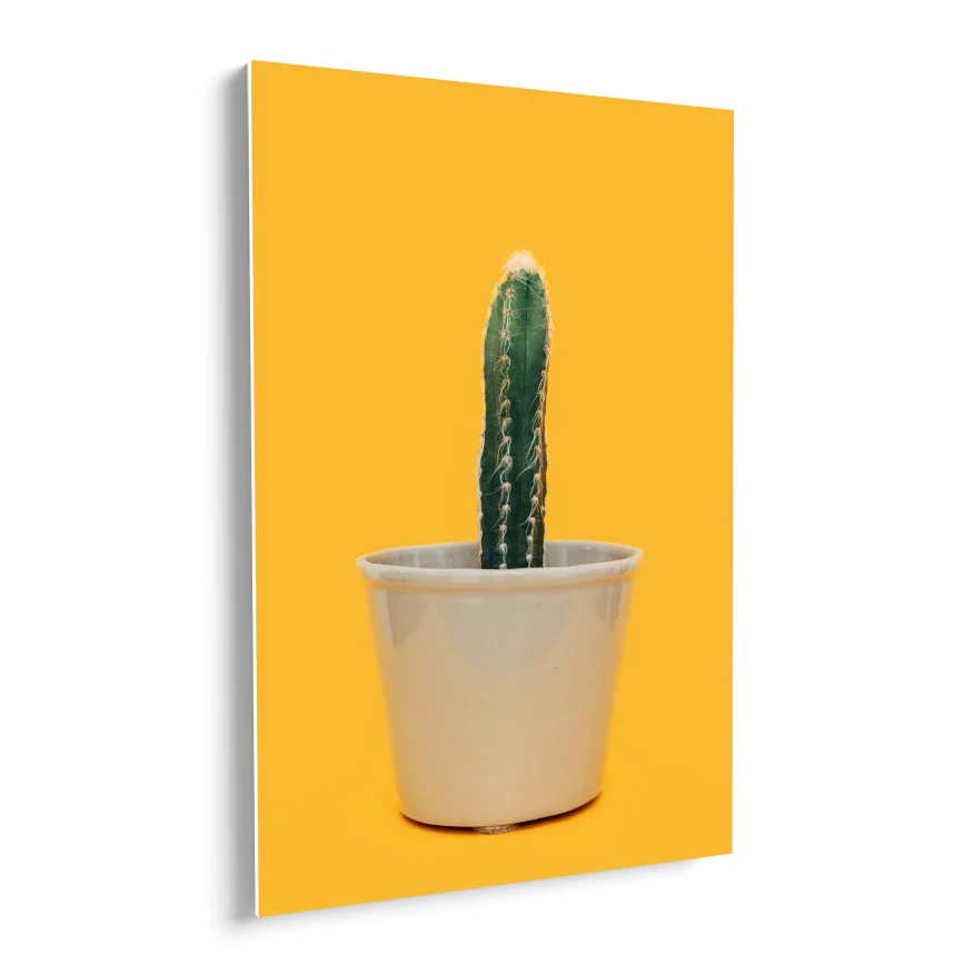 Cactus Poster