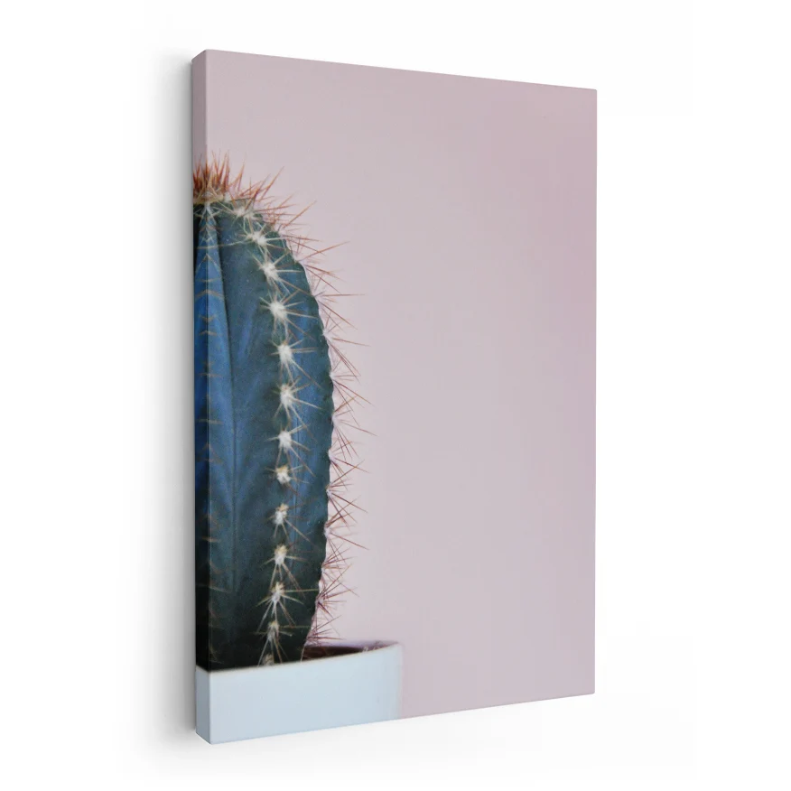 Cactus San Pedro Poster