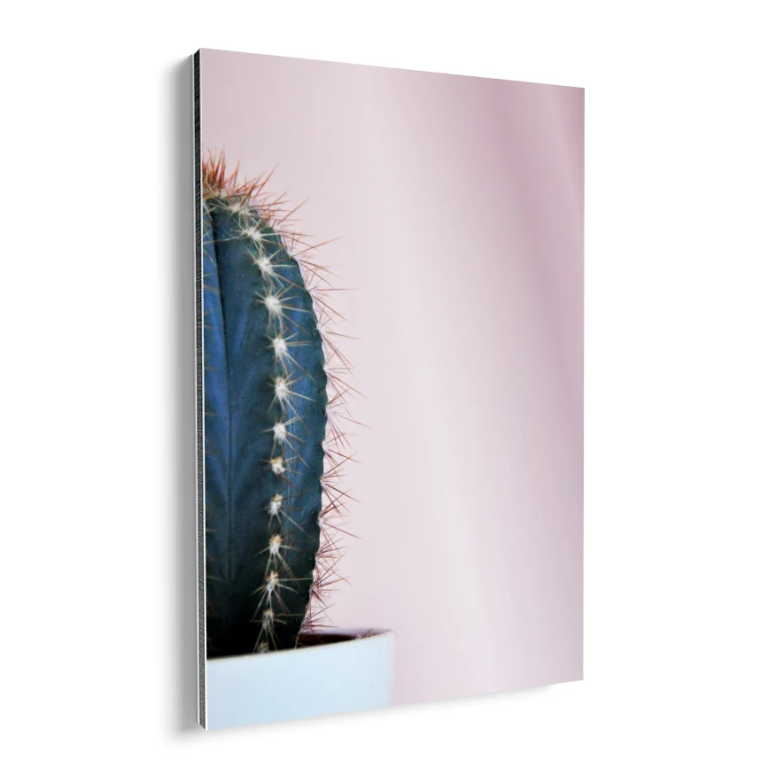 Cactus San Pedro Poster