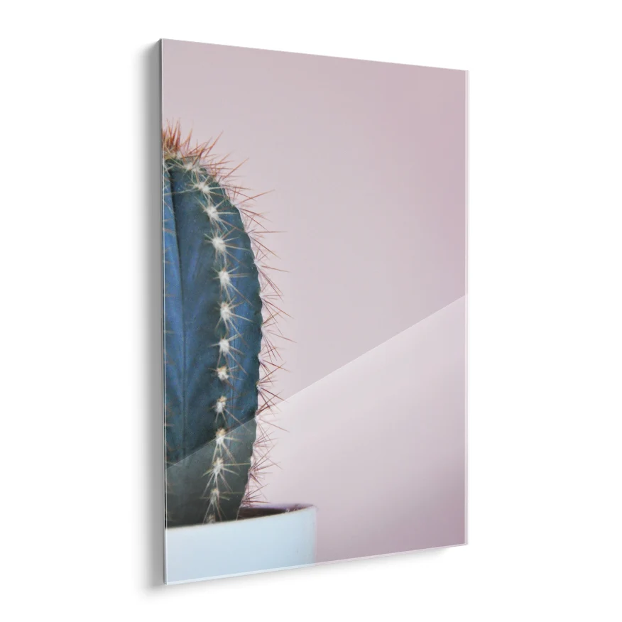 Cactus San Pedro Poster