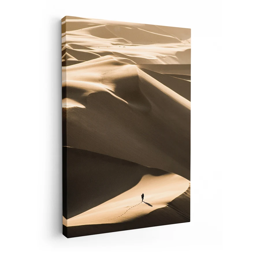 Caminando en el Desierto Poster