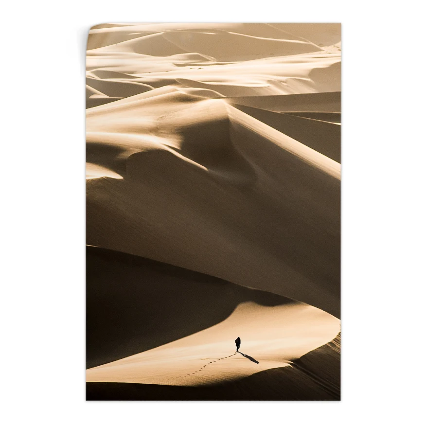 Caminando en el Desierto Poster