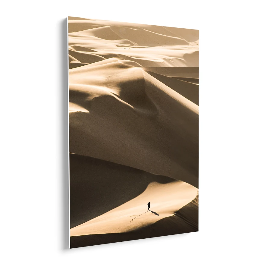 Caminando en el Desierto Poster