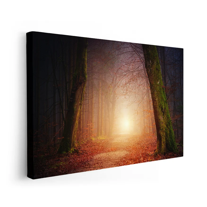 Camino en el Bosque Poster