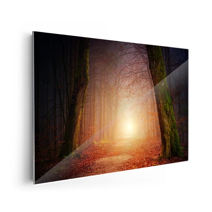Camino en el Bosque Poster