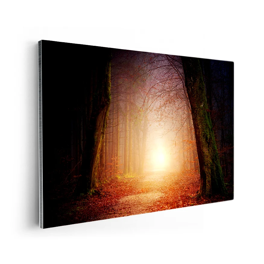 Camino en el Bosque Poster