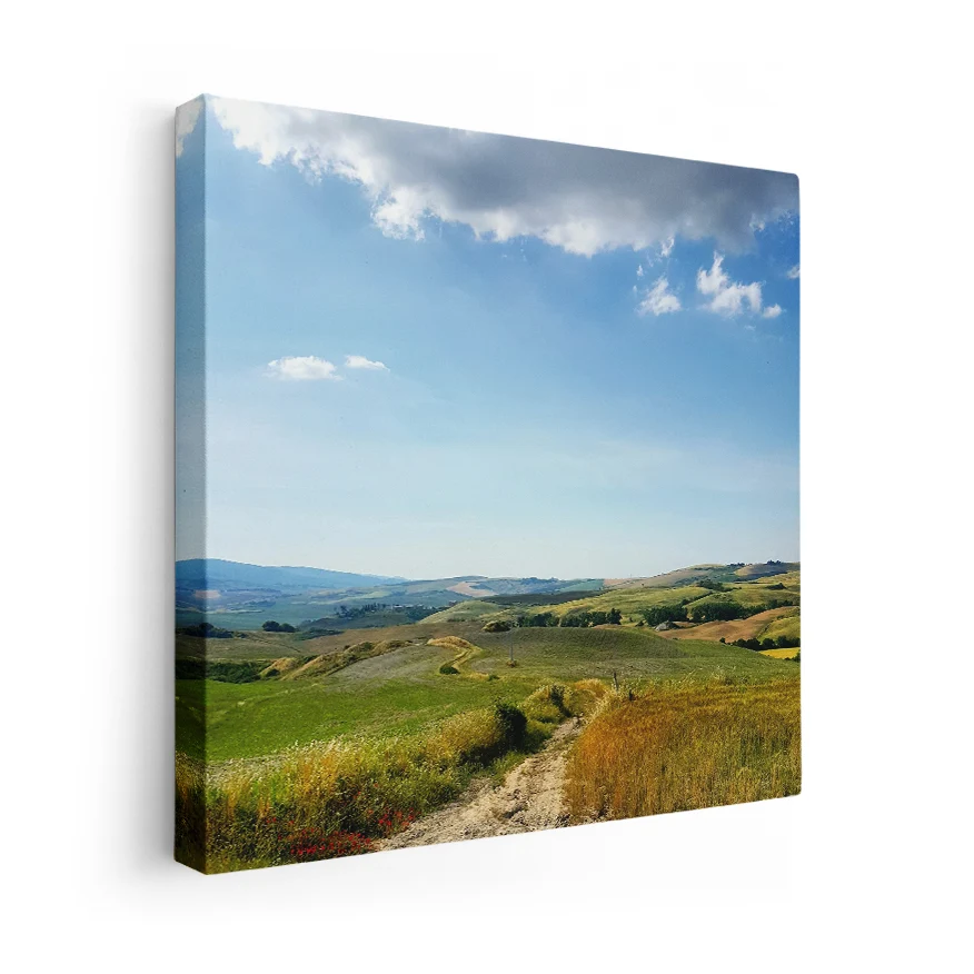 Camino en el Campo Poster
