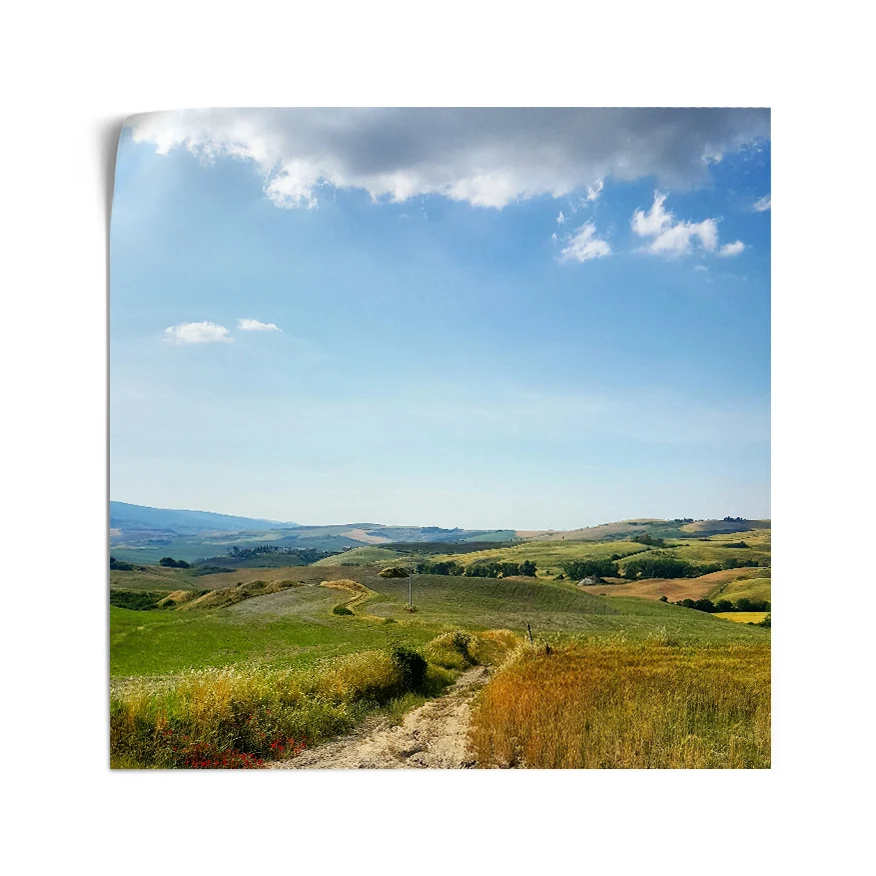 Camino en el Campo Poster