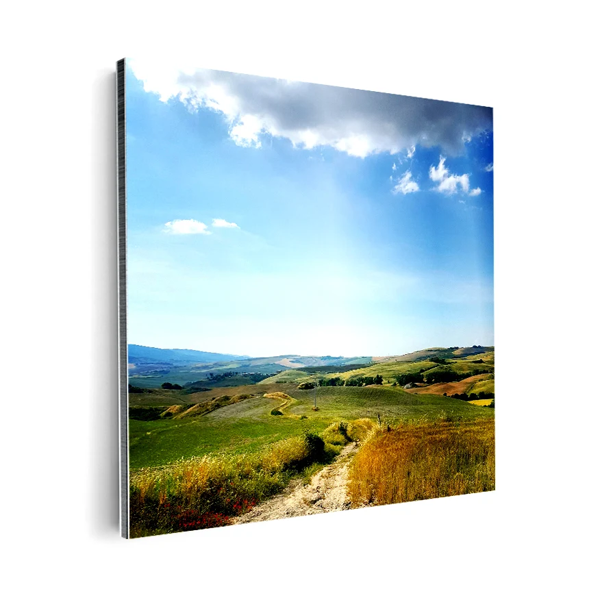 Camino en el Campo Poster