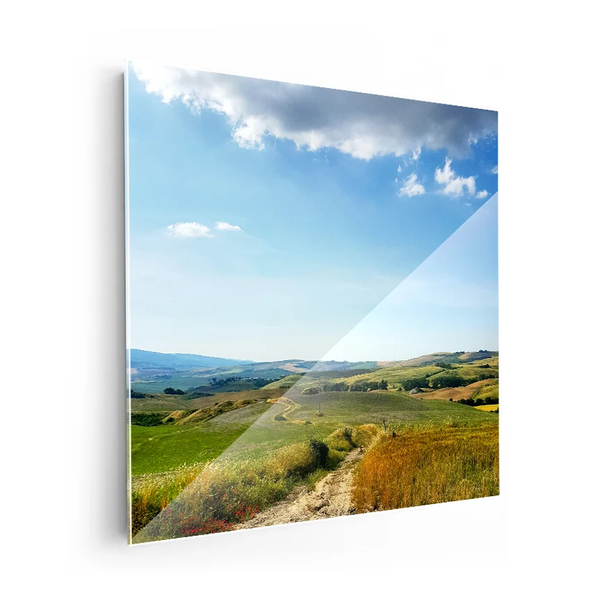 Camino en el Campo Poster