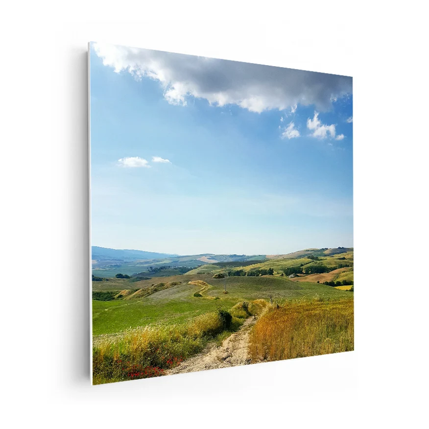 Camino en el Campo Poster