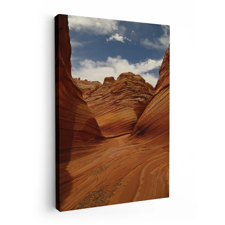 Cañon de Arizona Poster