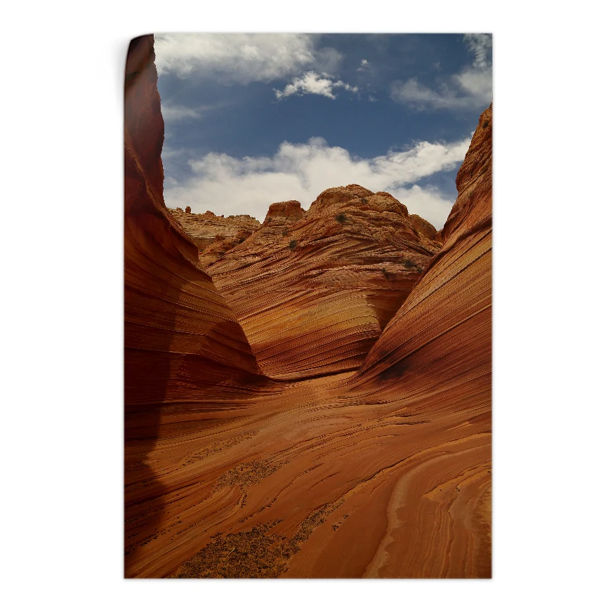 Cañon de Arizona Poster