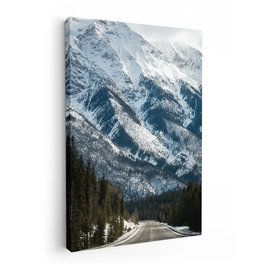Carretera al Volcan Nevado Poster