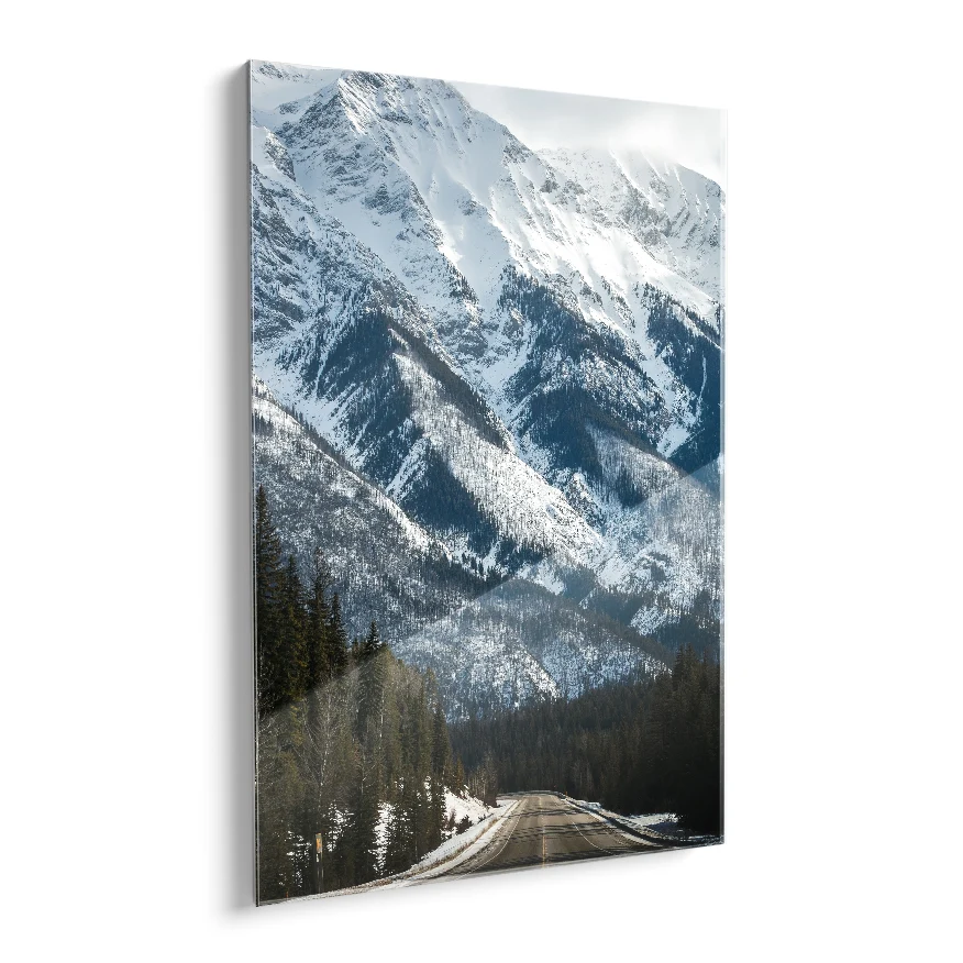 Carretera al Volcan Nevado Poster