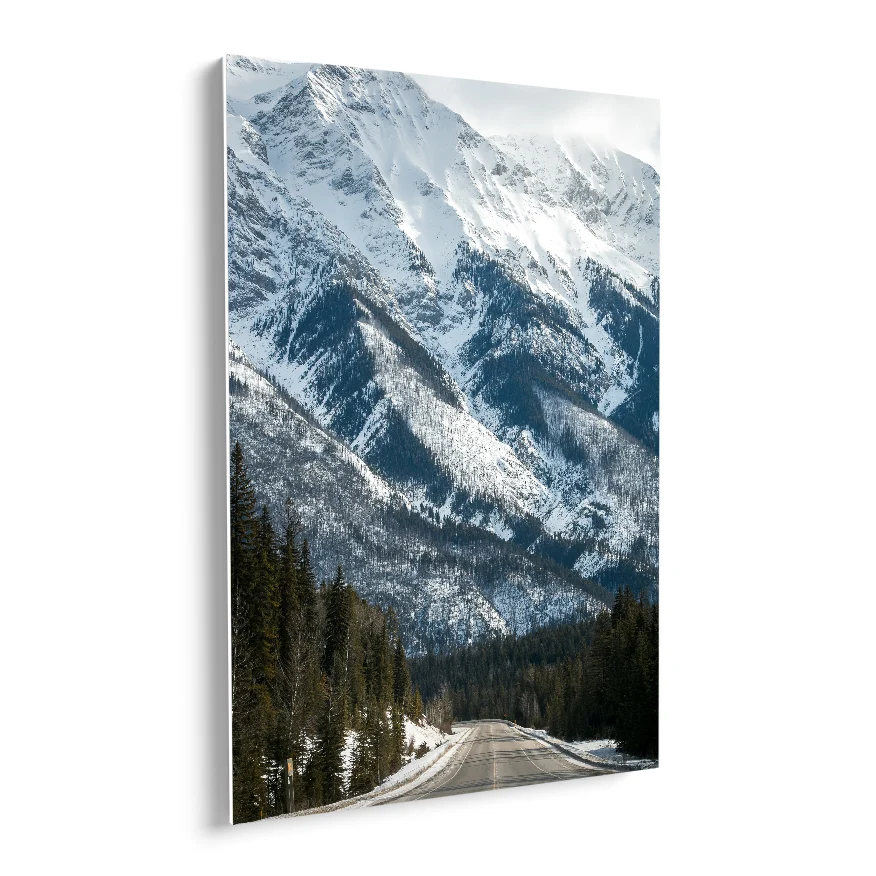 Carretera al Volcan Nevado Poster