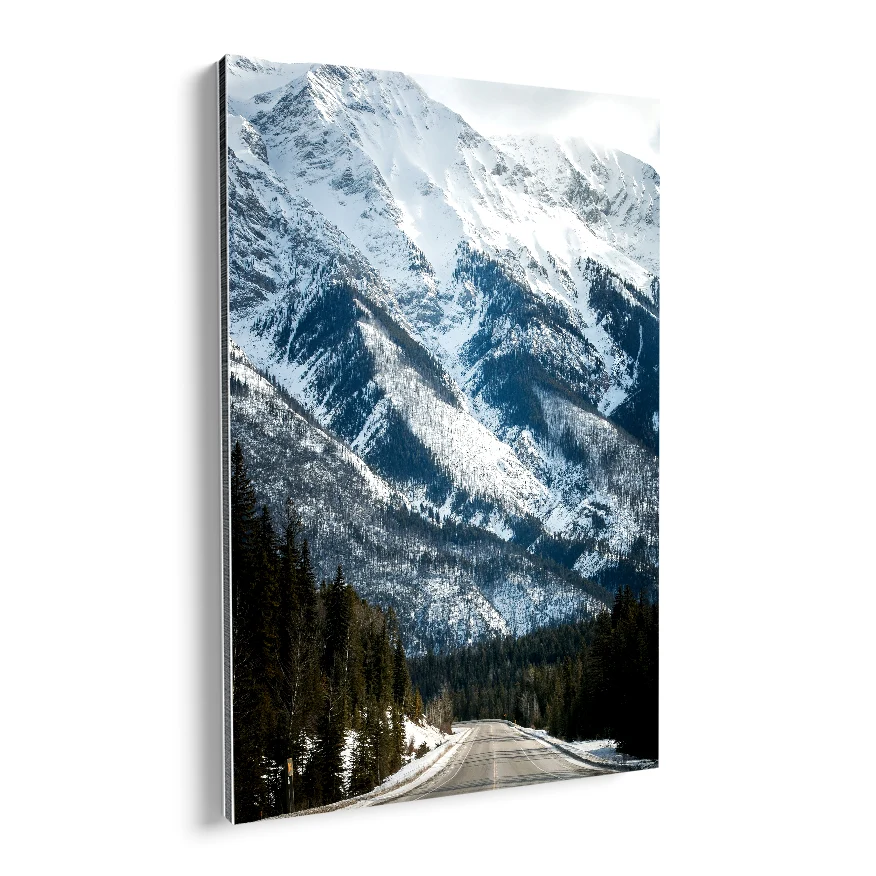 Carretera al Volcan Nevado Poster