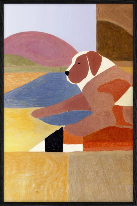 Dog resting Ceras