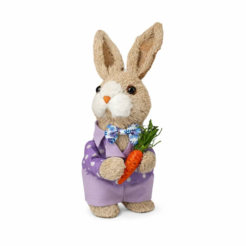 Conejo Vest. Violeta Zanahoria Chantilly