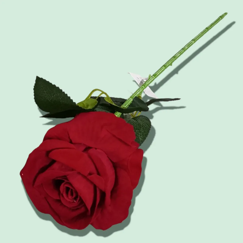 ROSA 1RAMO ZF02 Cosmo