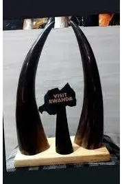 Cow Horn Decor