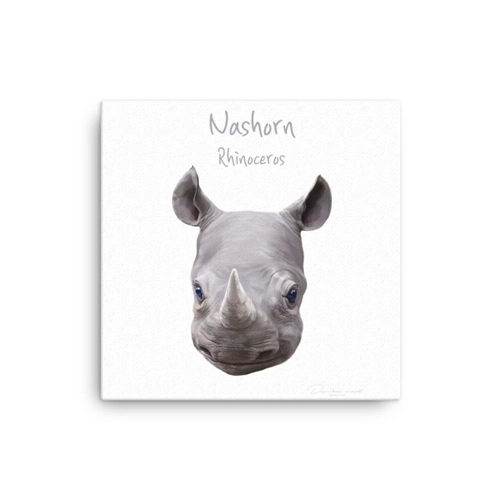 Rinoceronte - lienzo dear.bon.vivant
