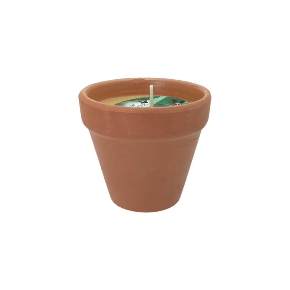 Vela de Citronela 3% Repelente Mosquito 70gr Decore
