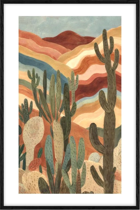 Desert Echo Desert Vista