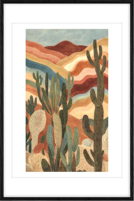 Desert Echo Desert Vista