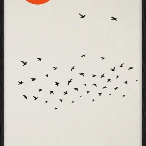 Zen flight Dynamic Minimalism