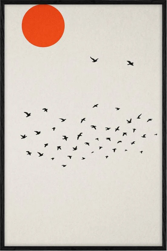 Zen flight Dynamic Minimalism