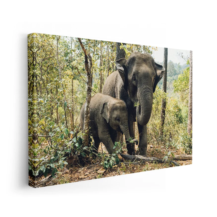 Elefante y Crí Poster