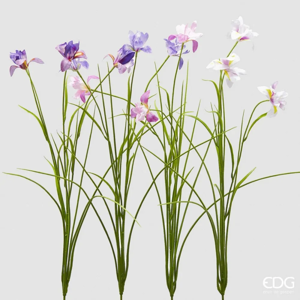 Iris Artificial Enzo de Gasperi