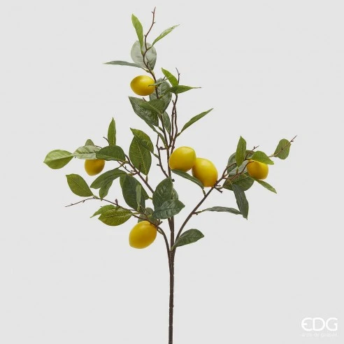 Ramas de Limonero Artificial Enzo de Gasperi