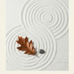 Equilibrio Fine Artic