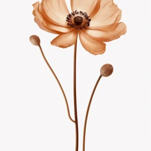 Flor Naranja (minimalist) Fine Artic