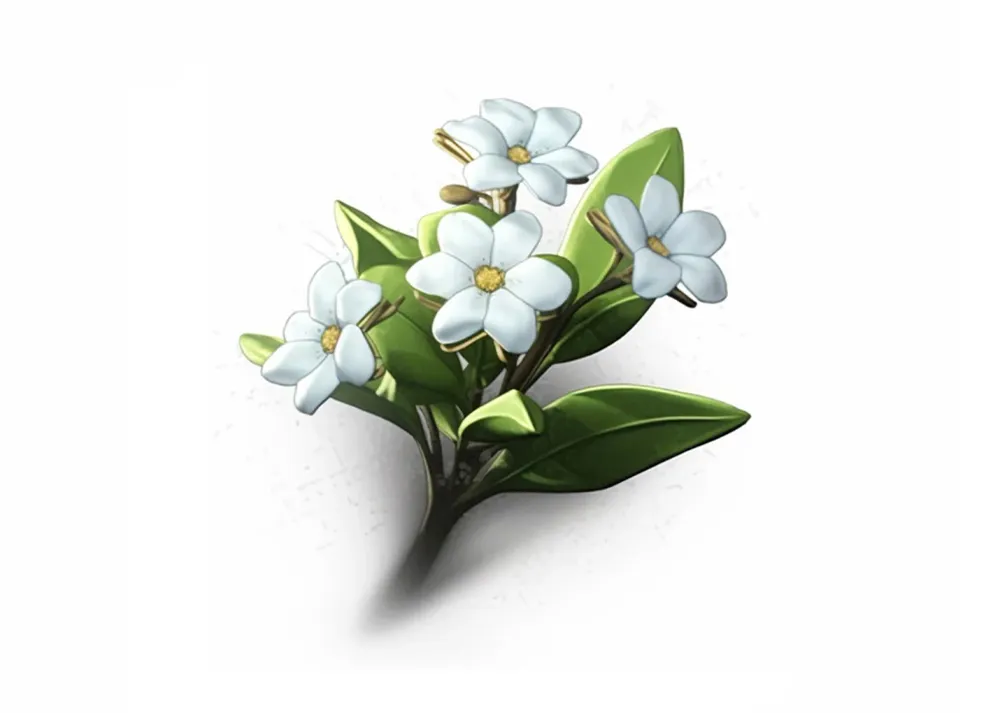 Flores de hada Fine Artic