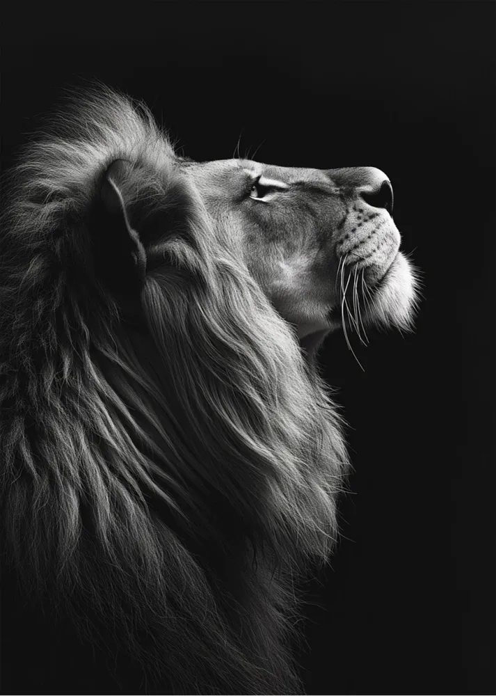 León fondo negro Fine Artic