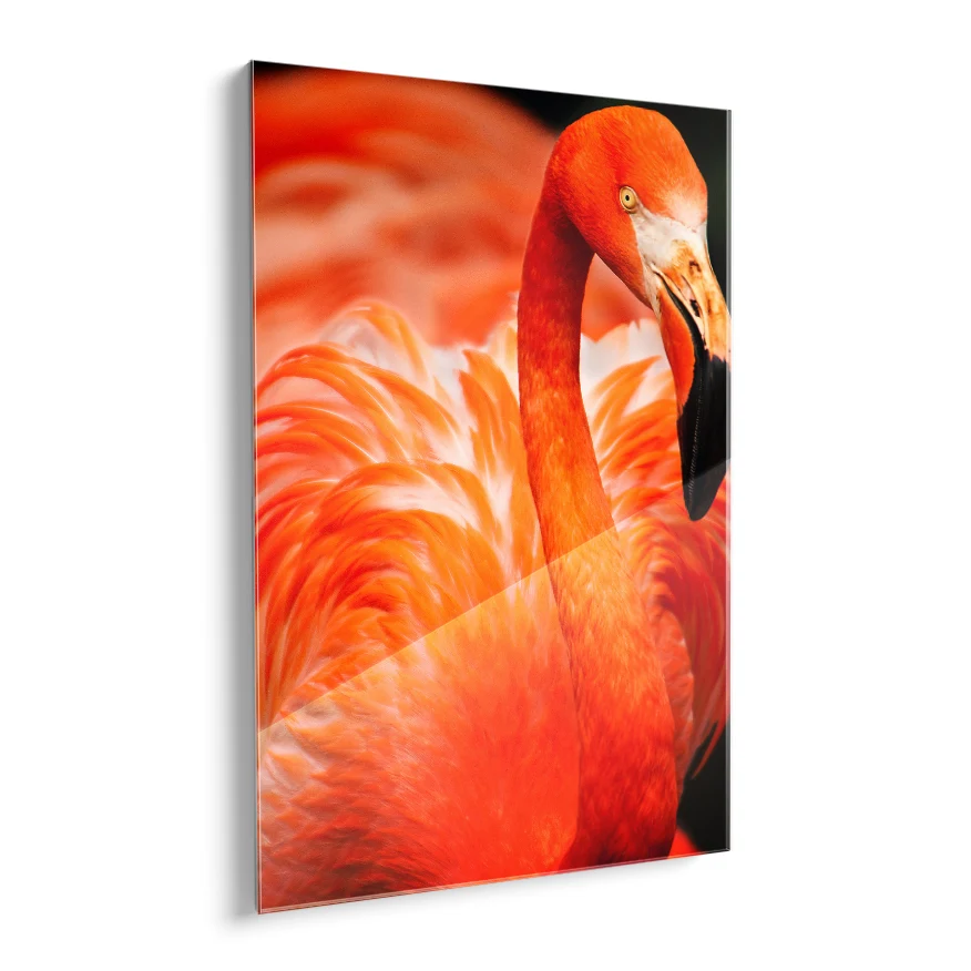 Flamenco Rosado Poster