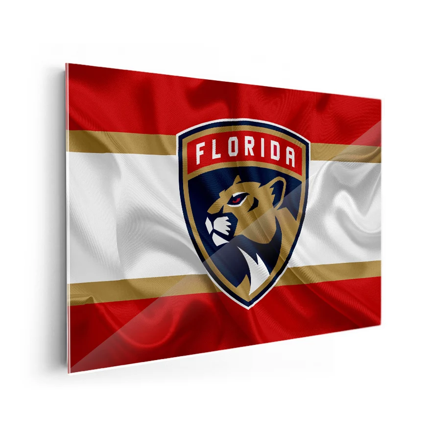 Florida Panthers Poster
