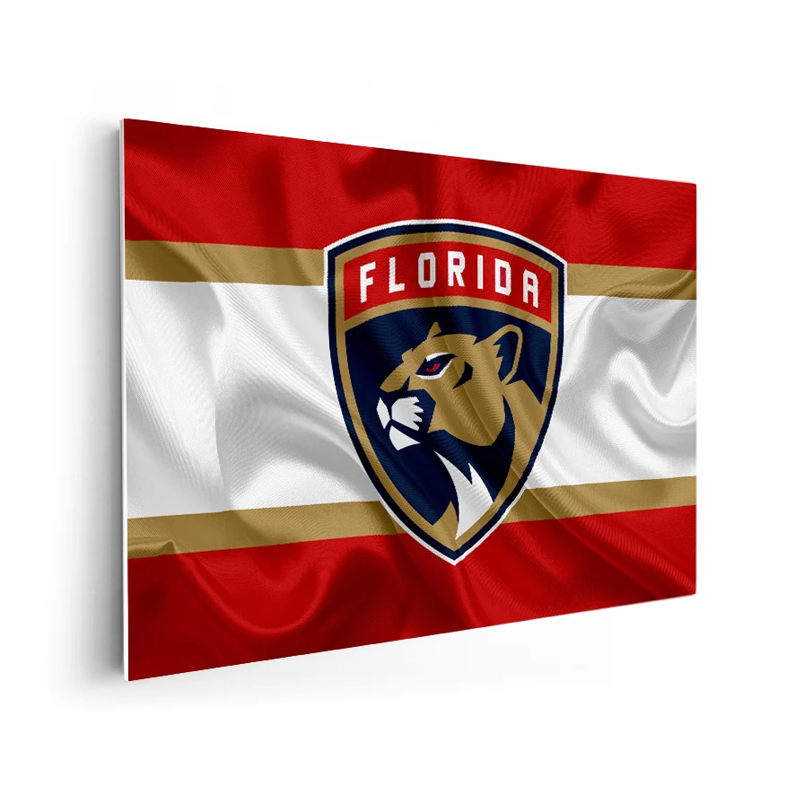 Florida Panthers Poster