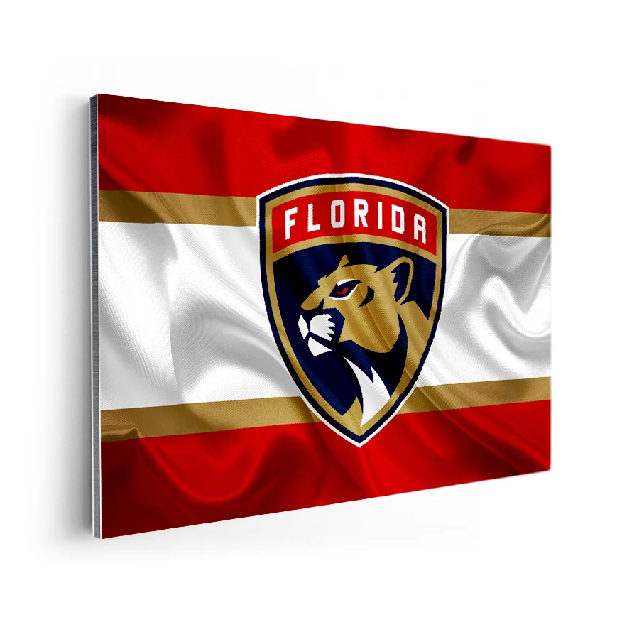 Florida Panthers Poster