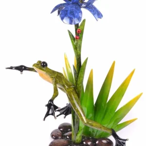Aurora Frogman - Tim Cotterill